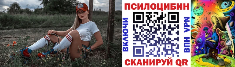 закладка Коммунар Псилоцибиновые грибы Magic Shrooms
